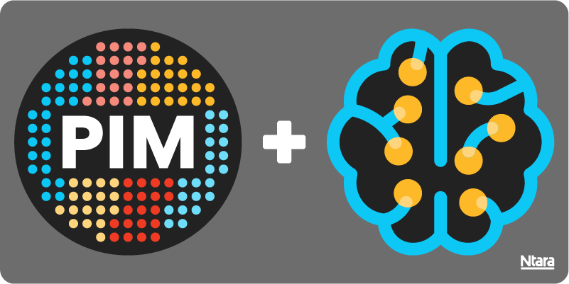 The acronym PIM is on the left, in the center of a black circle, surrounded by dots in various shades of blue, red, yellow. A brain icon in yellow, black, and blue is on the right.