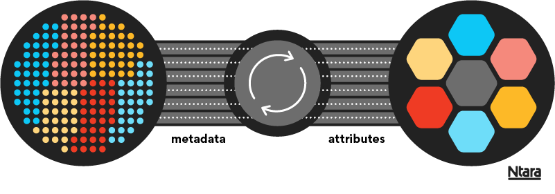 Black circle on the left filled with smaller circles in red, yellow, and blue. Black circle on the right filled with smaller hexagons in red, yellow, and blue, with a gray hexagon in the center. The two circles are connected by black and gray lines and white dots. In the center is a circle with two looping white arrows.